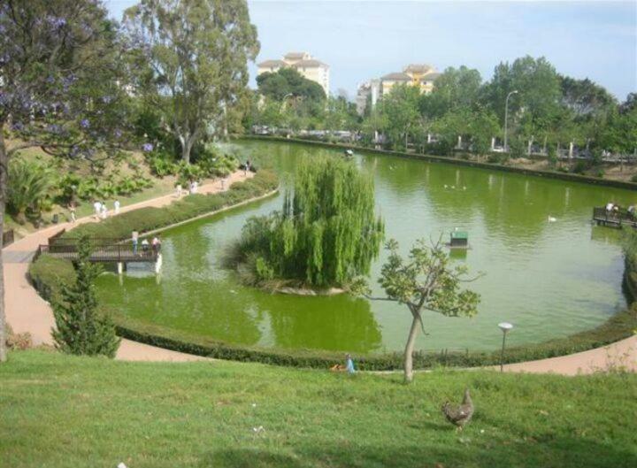 Estudio Sagitario Benalmadena Luaran gambar